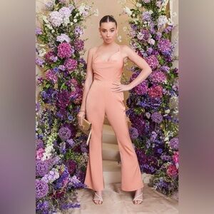 NWT Lavish Alice Gabriella Cowl Neck Cut Out  Jumpsuit Satin Peach Size 2